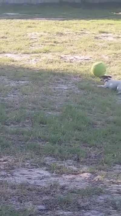Maybe maybe maybe