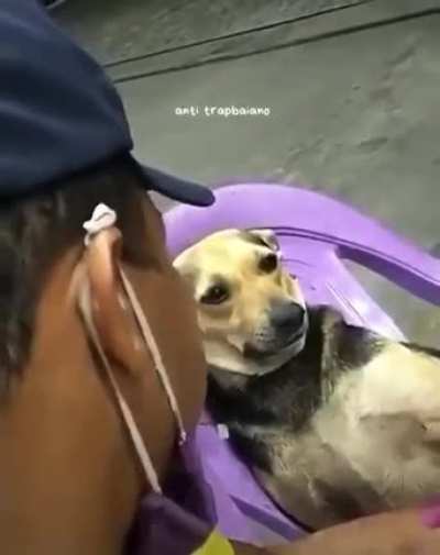 VOCE TEM MEU AUTSAPP