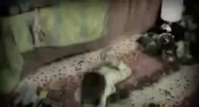 cursed_grab