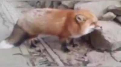 idk