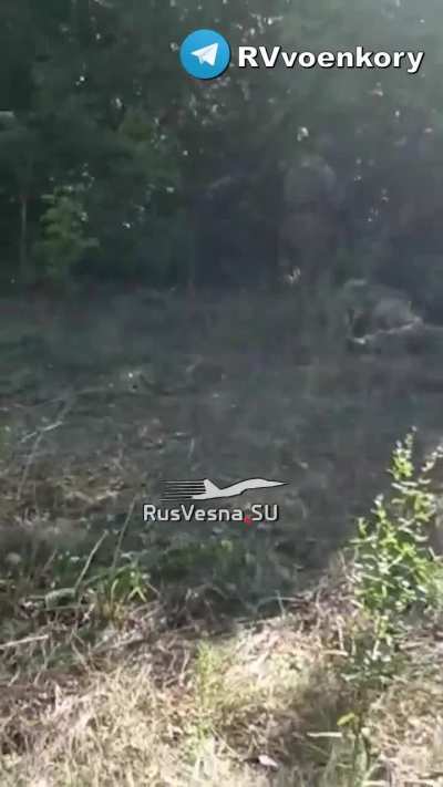 Russians defeating alleged Ukrainian &ldquo;special forces&rdquo; somewhere in Kursk