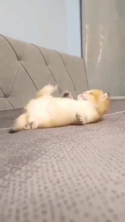 Don't bother me