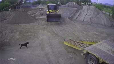 Man is crushed by his trailer ramp