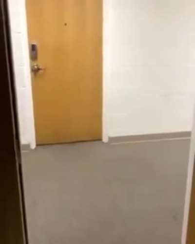 Government drone chasing college protestors