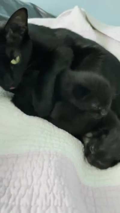 &ldquo;Y u do this mom&rdquo;