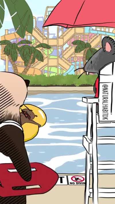 Beaver_irl