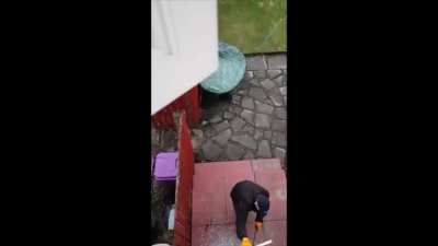 I kind of wished the person filming pulled a home alone