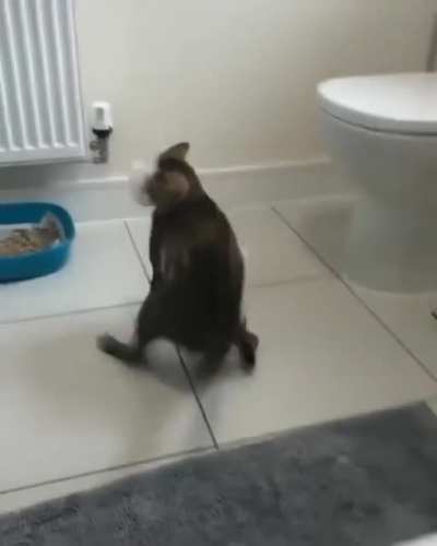 Curiosity got the best of them