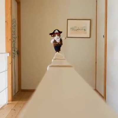 Perfect cat walk 😂