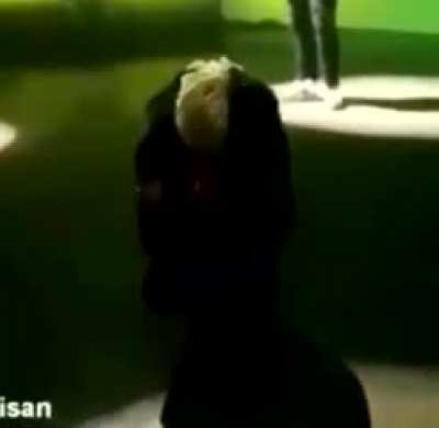 Y&rsquo;all know this the best XXXL FRESHMAN FREESTYLE rIgHt⁉️
