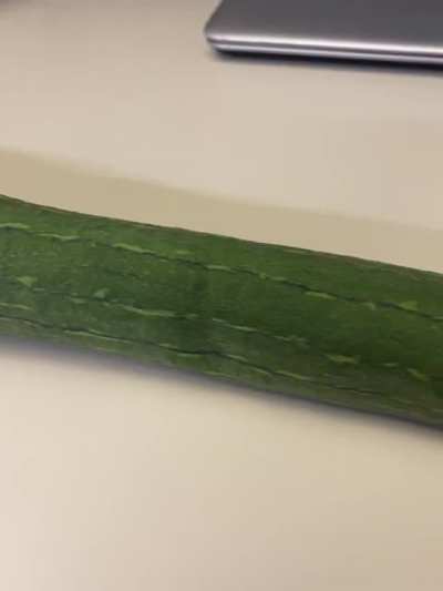 My coworker gave me this from her garden