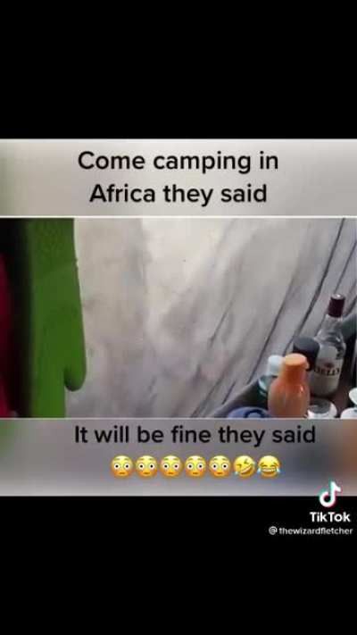 come comping in Africa they said