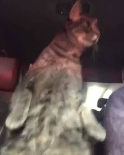 Bruh