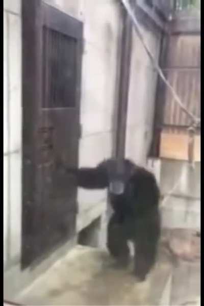 DBL players when there's no new story a week after the anniversary.