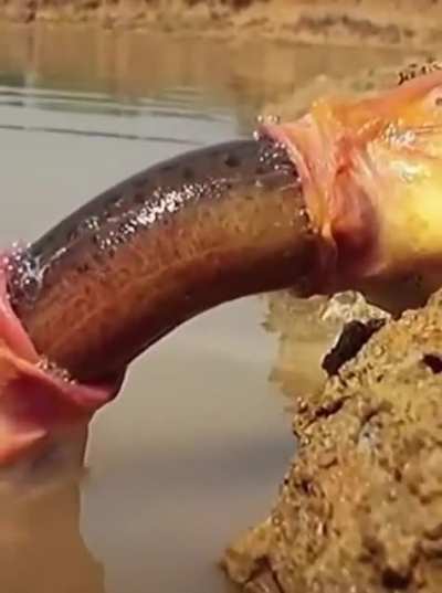 Whatever this is. You&rsquo;re welcome