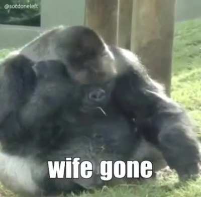 Monky nagging wife I just want to bowl I want to fish