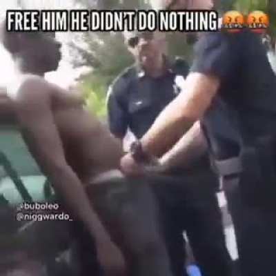 BLM✊🏿 ACAB 👮🏻&zwj;♂️ DSL🥵
