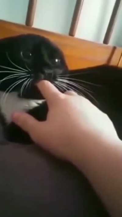 I'm glad they had an agreement