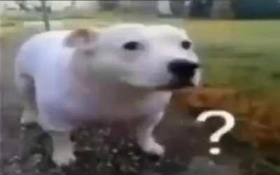 ?