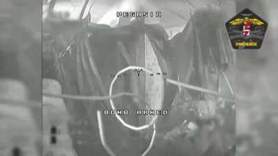 Ukrainian FPV Drone skillfully flies into Russian Hideout