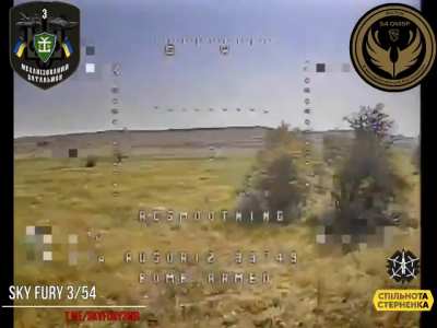 Chasing katsaps around a tree and hitting another one