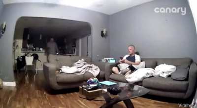 Dog “undershoots their jump” (Credit to ViralHog un YouTube)