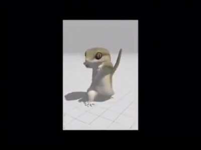 lizard