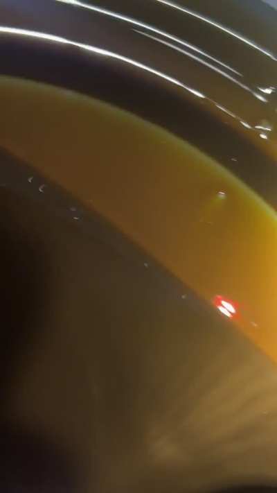 Oil Question