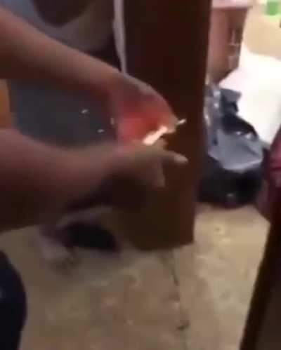 Tutorial de como lan&ccedil;ar bombinha no toba do seu amigo
