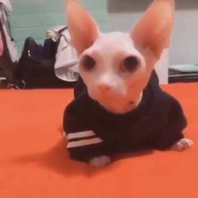 😳😳