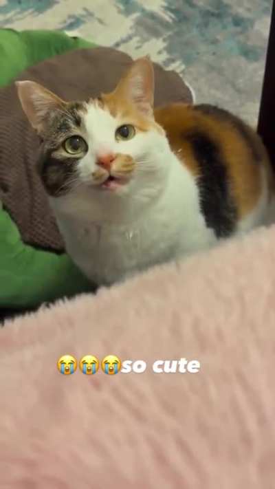 That face tho.