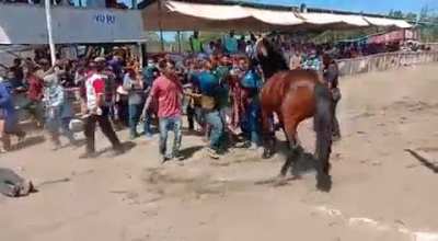 Gathering around a stressed horse