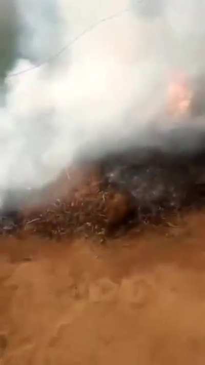 DESGRA&Ccedil;ADO QUEIMOU MEU FEIJ&Atilde;O 😡😡