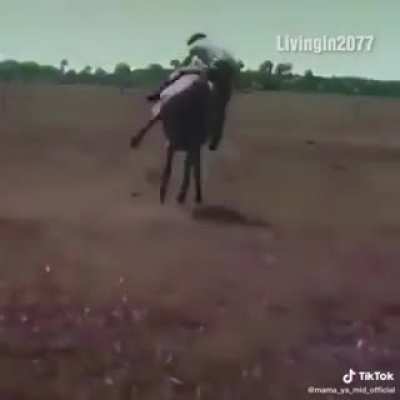 Smooth move