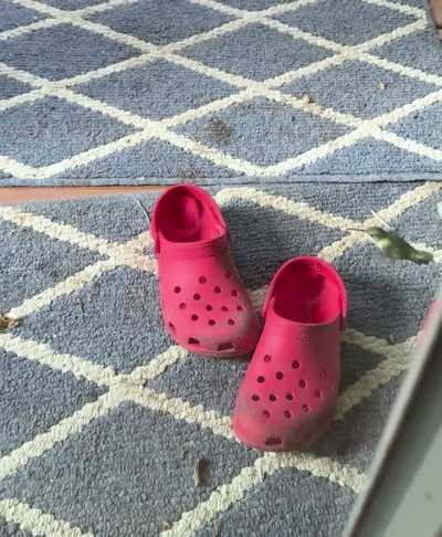 Poor Guy was Confused by my Son&rsquo;s Crocs 😂