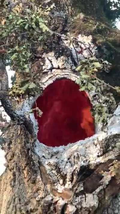 Это как так получилось?