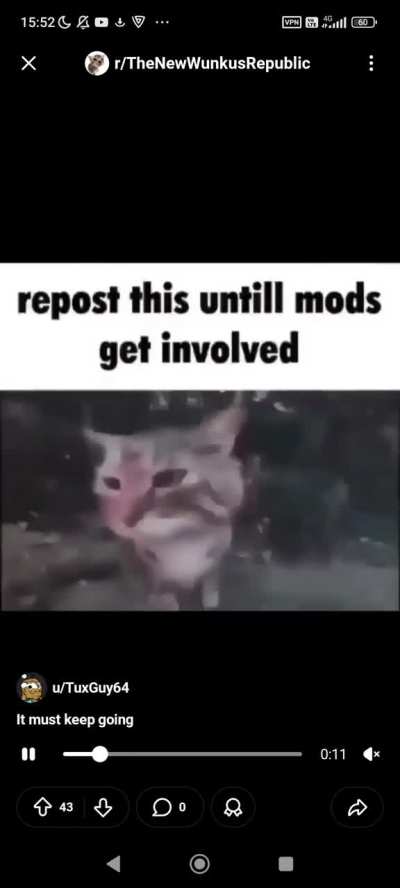 Repost lunkuses