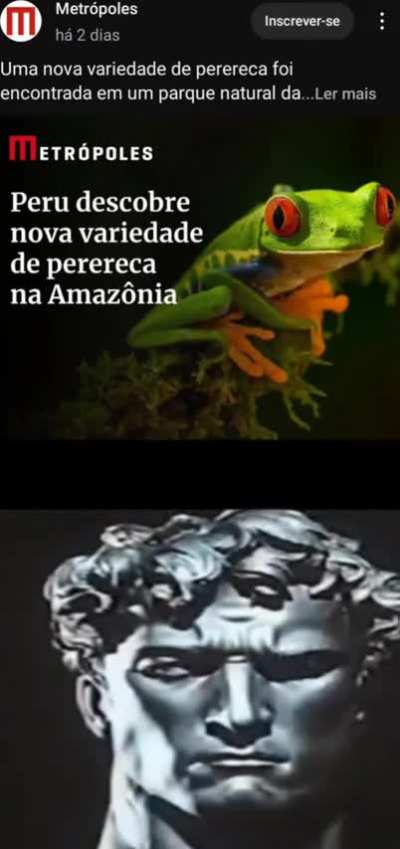 Sfd Kkkkkkkkkk 