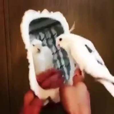 Is this music?