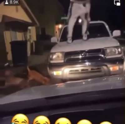 Bonk