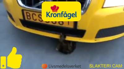r&aring;ger