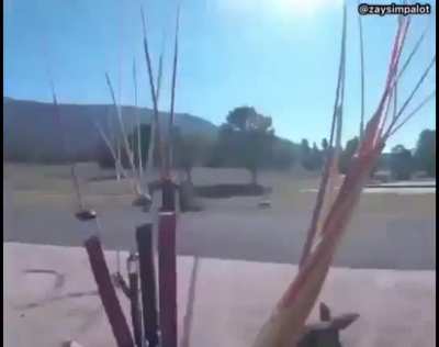 Fuck kangaroos #2