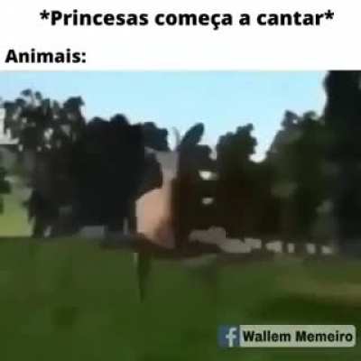 Umhh princesas