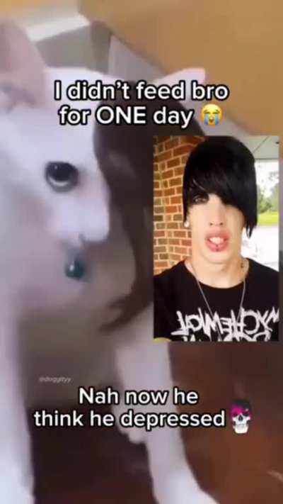 Bro