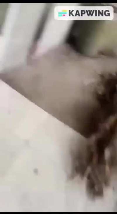 [Subtitle Version]Young boy choked grandma to death