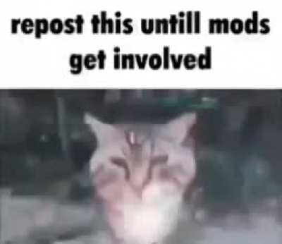 ehehe