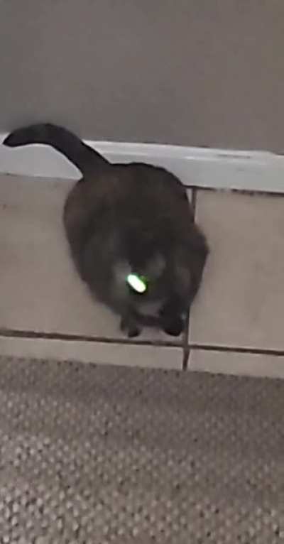 Run.
