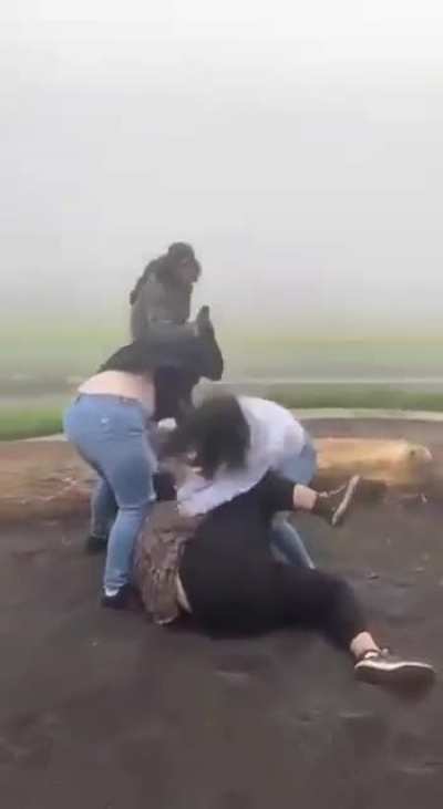 thots at it again