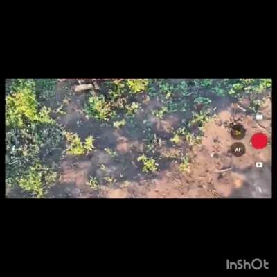 Ukrainian soldiers are finished off by drone dropped explosives near Kleshcheevka [NSFL]