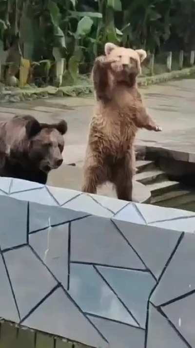 Over Here!